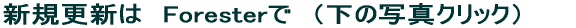 ŐVForestery[WŁ@i̎ʐ^NbNj